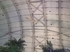 -辽宁古生物博物馆