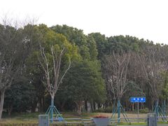 -尚贤河湿地