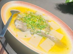 黄椒酱深海大黄鱼配手打年糕-曼格纳·曼芯馆(杨浦店)