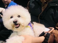 -天津美亚HeyLED影城(天津水游城店)