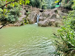 -南海湾森林生态园
