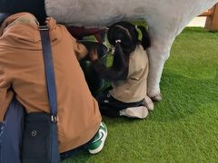 -呼和浩特市老牛儿童探索馆