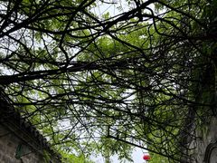 -老门东历史文化街区