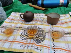 -铁山坪森林公园