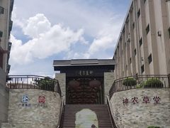 -广州神农草堂中医药博物馆