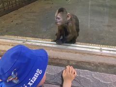 -西安秦岭野生动物园