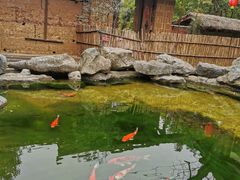 -驿舍·民國老营房院子私房菜(科学会堂店)