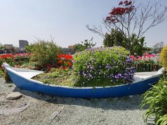 -荷兰花海