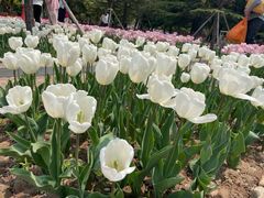 -石家庄市植物园