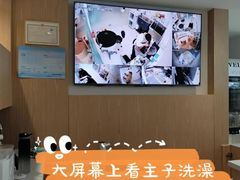 -鼎级派宠物(中南店)