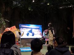 -zoonana室内动物园(东方福来德店)
