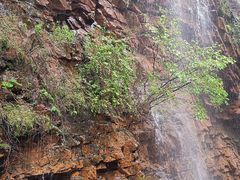 -湖洞水自然风景区