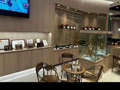 -知音艺术教育培训·钢琴培训·音乐培训(河西金鹰世界校区)