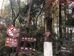 -岳麓山风景名胜区