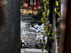 -何园