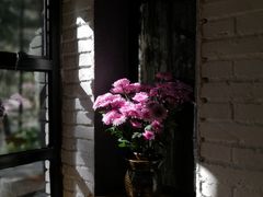 -寂照庵