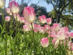 -长春公园(普阳街道)