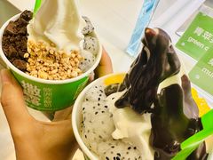 -Salud撒露欧洲冻酸奶(蓝色港湾店)
