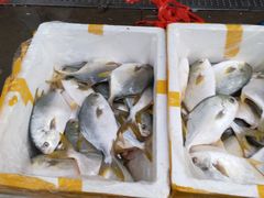 -王四营海鲜市场