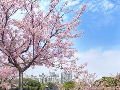 -新江湾城公园