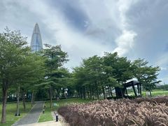 -深圳人才公园