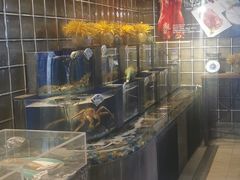 -观宴中餐厅