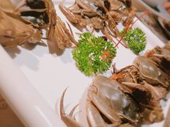 -金海湾海鲜总店