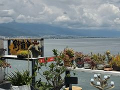 -野菌皇海景野生菌火锅(滨海大道店)