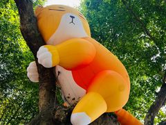 -西安电影制片厂