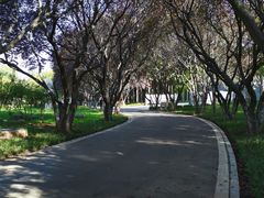 -石家庄市植物园