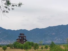 -野鸭湖国家湿地公园