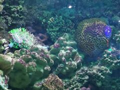 -海合安青岛极地海洋公园