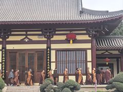 -庐山风景名胜区-东林大佛