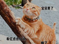 -南枝小馆(银鱼巷店)