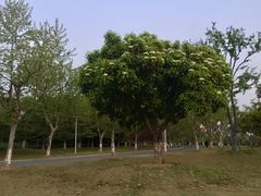 -暨阳湖生态园