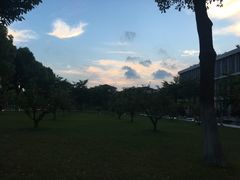 -中共上海市委党校 上海行政学院