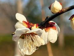 -狼山风景名胜区