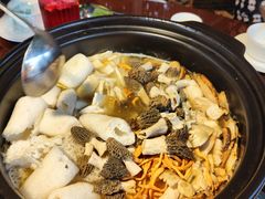 -易门野生菌府·菌海森林(月牙潭公园店)