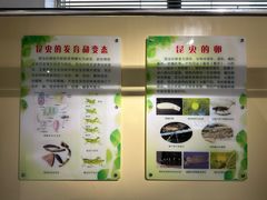 -上海昆虫博物馆