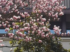 -杭州花家山庄