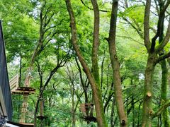 -WeLope紫金山探险公园
