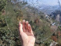 -温州永嘉书院