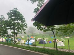 -武陵山森林公园