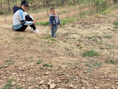 -梨木台悦来客农家院