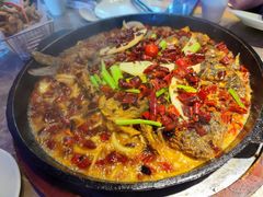 -老板恋上鱼(恒隆广场店)