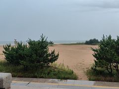 -日照海滨国家森林公园