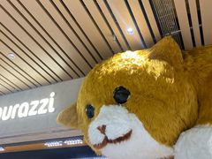 -帕帕拉兹宠物(亚洲旗舰店)