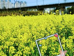 -白鹭湾湿地公园