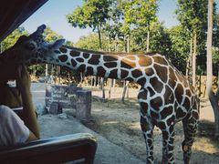 -清迈夜间动物园