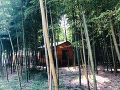 -龙寺生态园